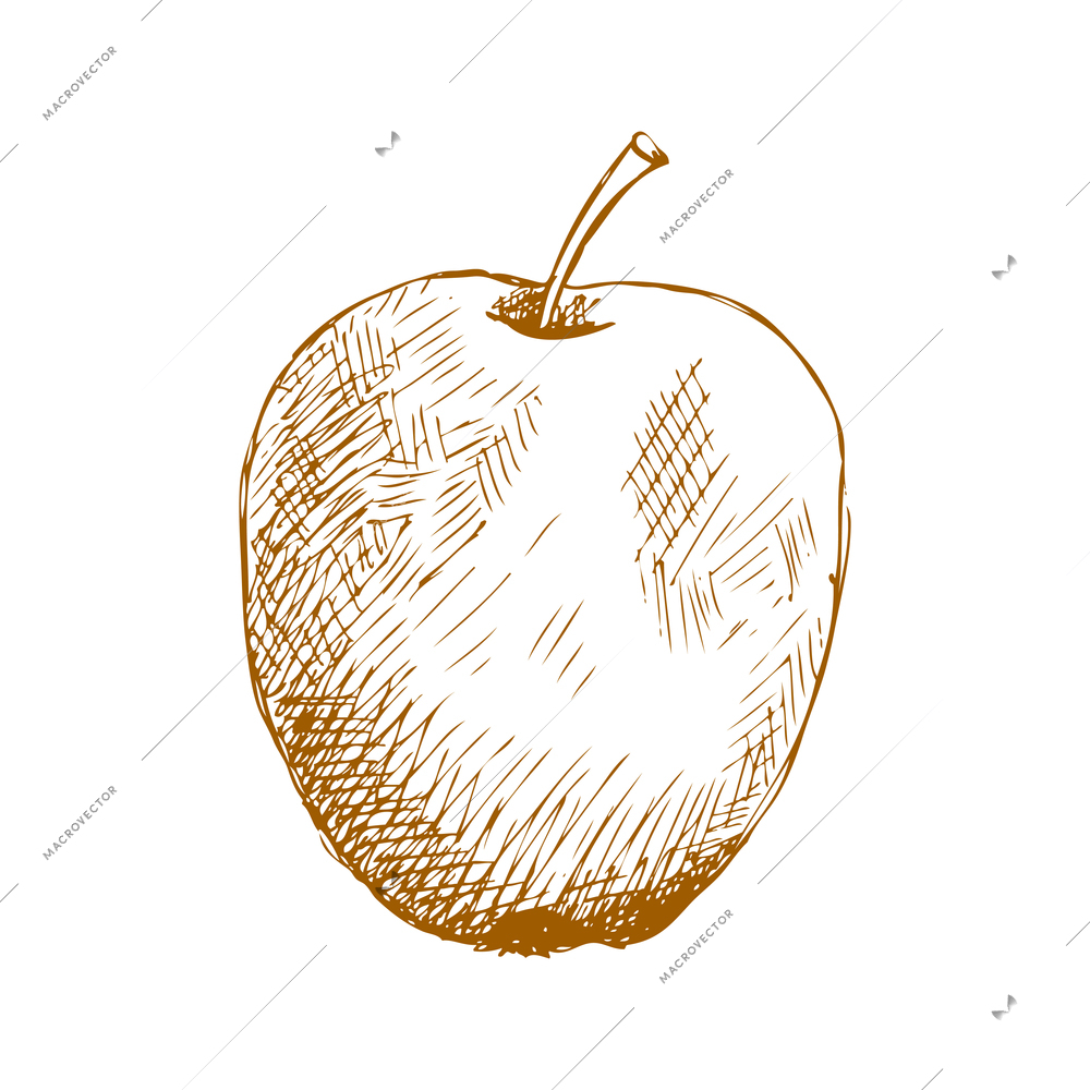 Hand drawn fruit vintage composition with sketch style isolated monochrome image of fruit on blank background vector illustration