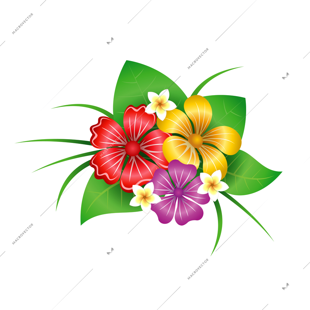 Tropical flowers composition of isolated floral decor elements on blank background vector illustration