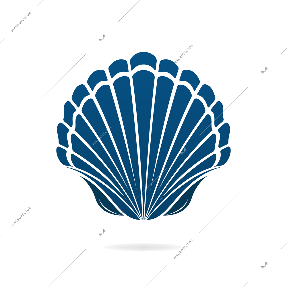 Scallop seashell of mollusks icon sign isolated vector illustration