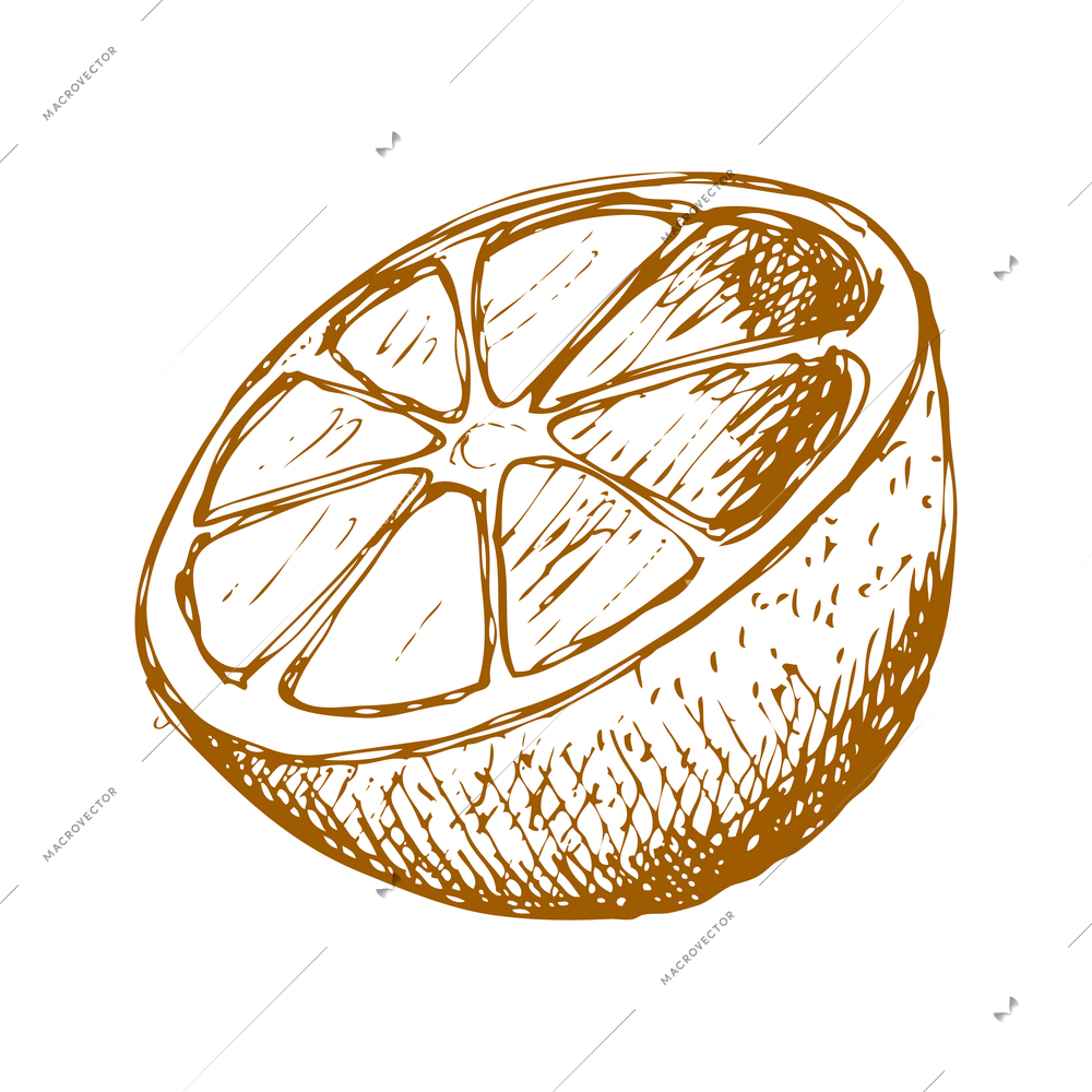 Hand drawn fruit vintage composition with sketch style isolated monochrome image of fruit on blank background vector illustration