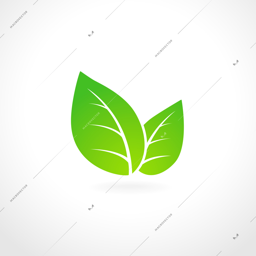 Green leaf ecology emblem isolated vector illustration