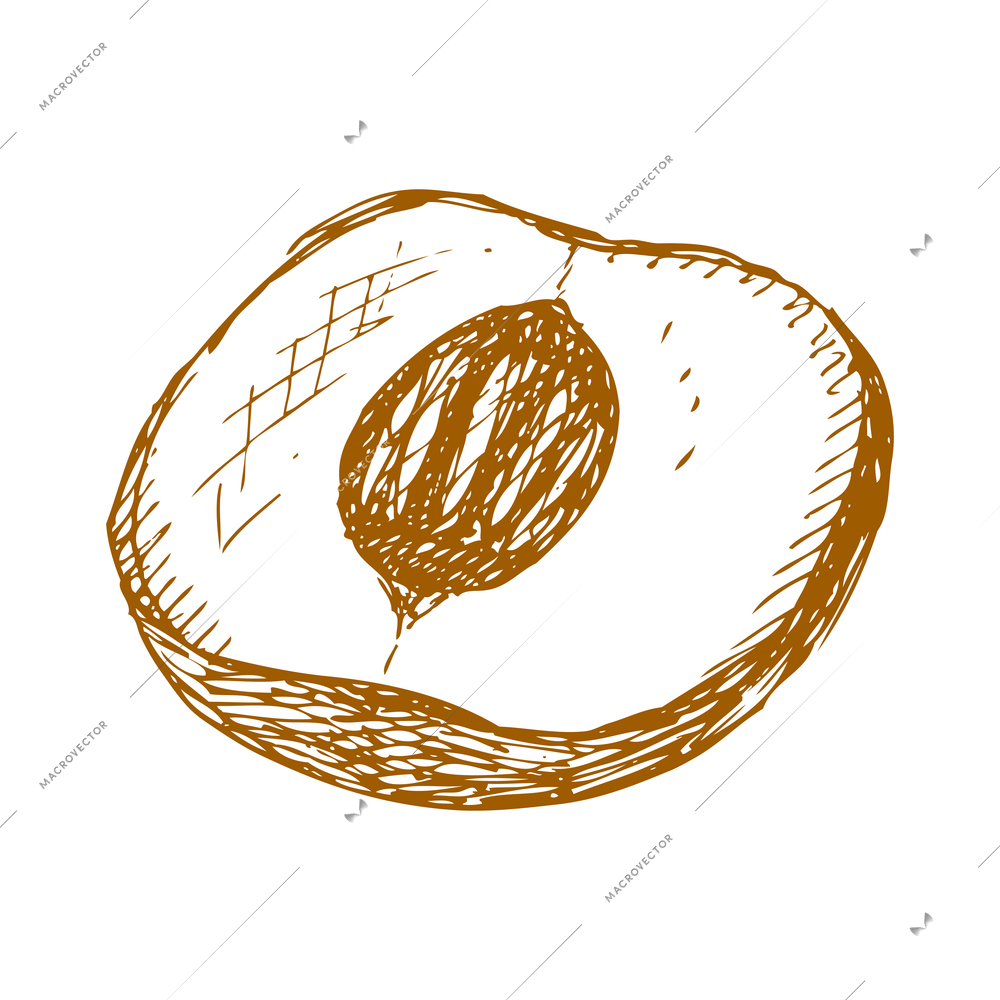 Hand drawn fruit vintage composition with sketch style isolated monochrome image of fruit on blank background vector illustration