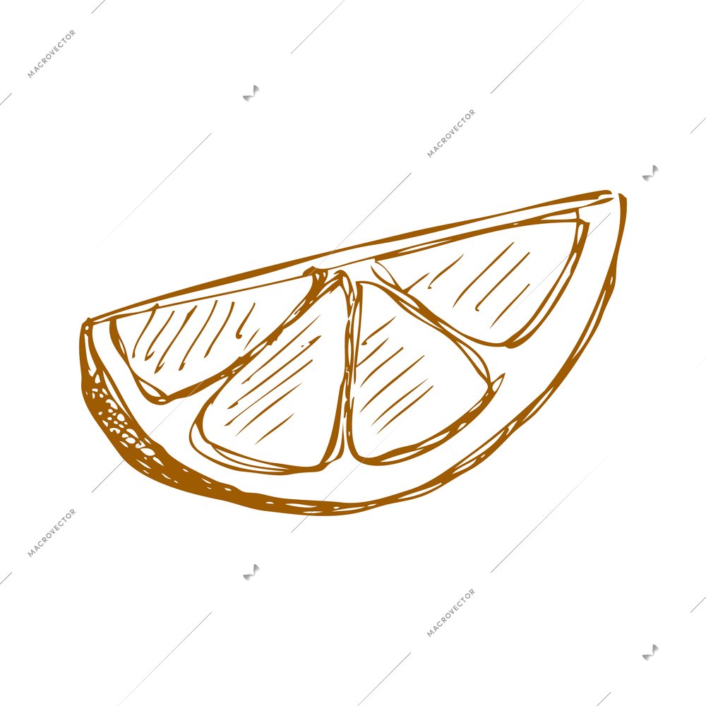 Hand drawn fruit vintage composition with sketch style isolated monochrome image of fruit on blank background vector illustration