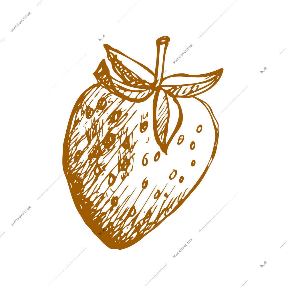 Hand drawn fruit vintage composition with sketch style isolated monochrome image of fruit on blank background vector illustration