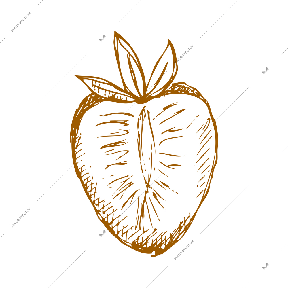 Hand drawn fruit vintage composition with sketch style isolated monochrome image of fruit on blank background vector illustration