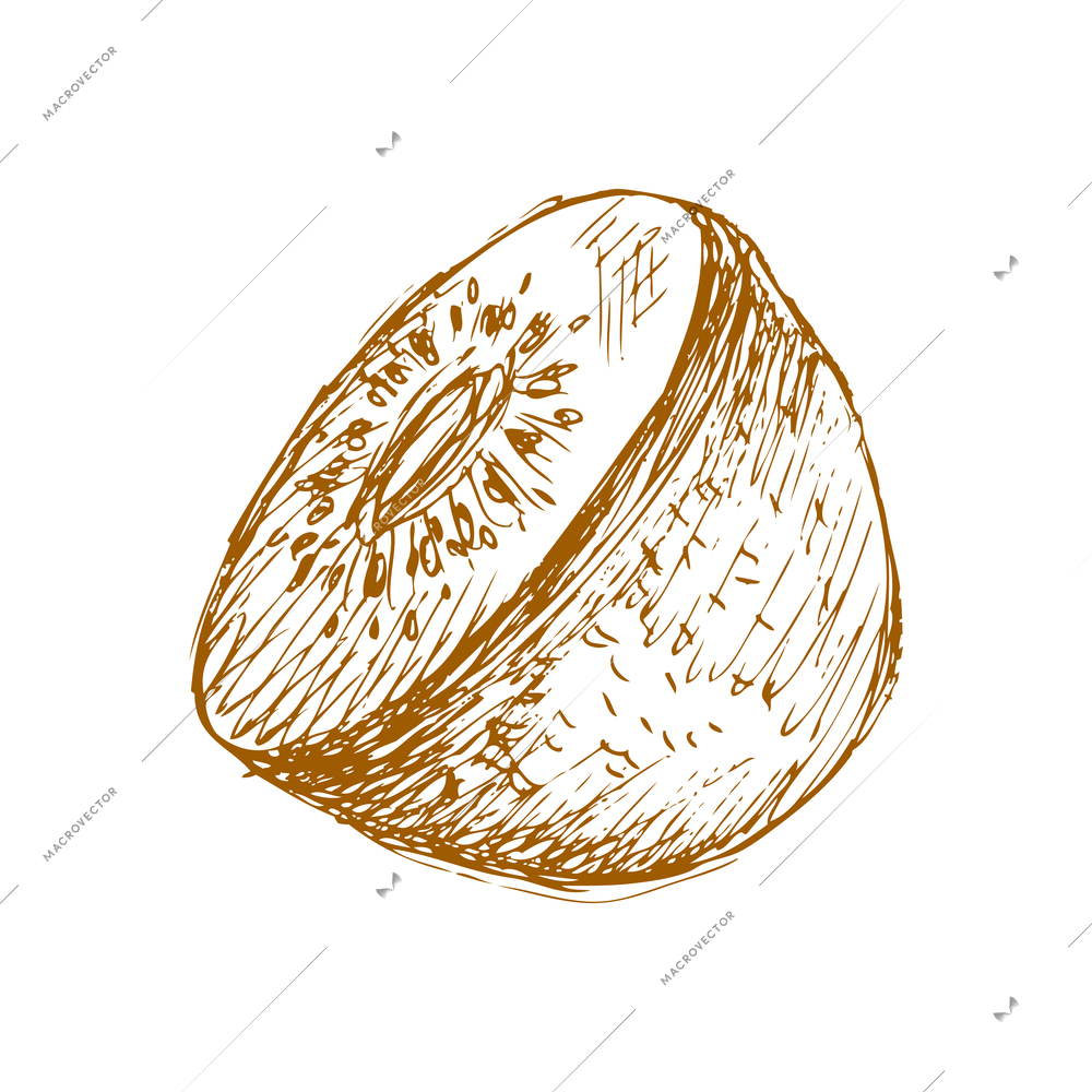 Hand drawn fruit vintage composition with sketch style isolated monochrome image of fruit on blank background vector illustration