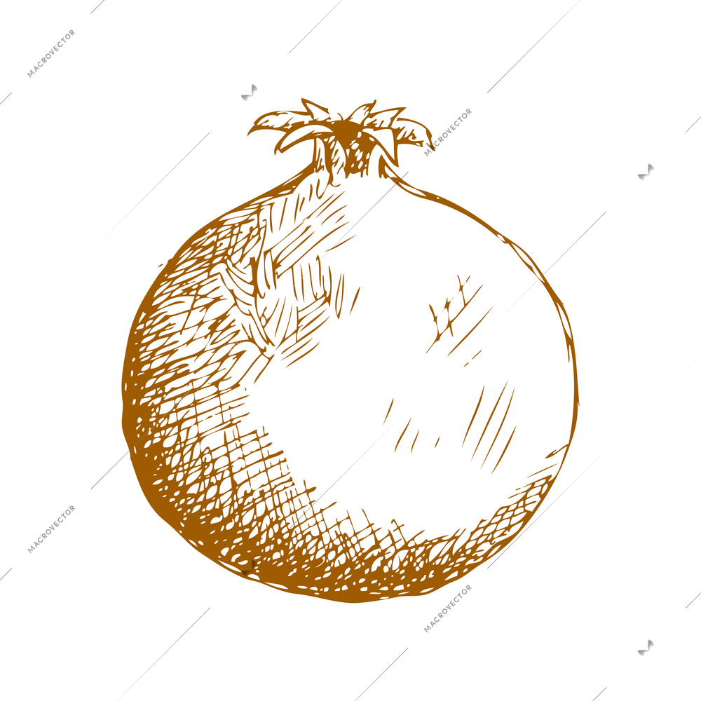 Hand drawn fruit vintage composition with sketch style isolated monochrome image of fruit on blank background vector illustration