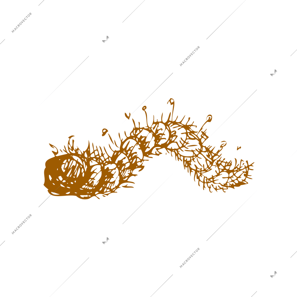 Hand drawn fruit vintage composition with sketch style isolated monochrome image of worm on blank background vector illustration