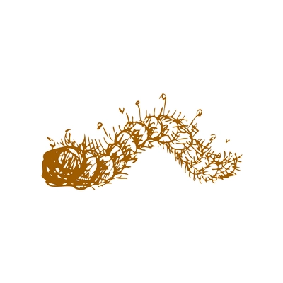 Hand drawn fruit vintage composition with sketch style isolated monochrome image of worm on blank background vector illustration