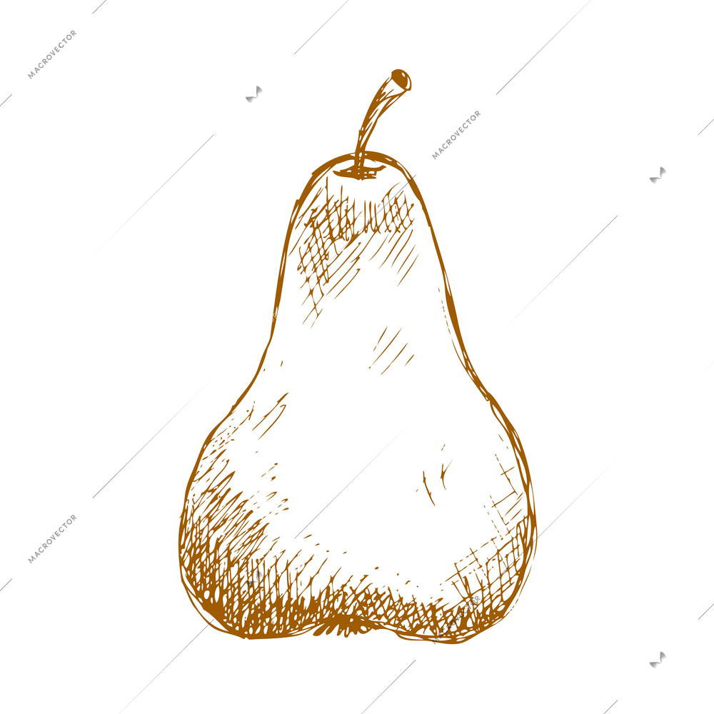 Hand drawn fruit vintage composition with sketch style isolated monochrome image of fruit on blank background vector illustration