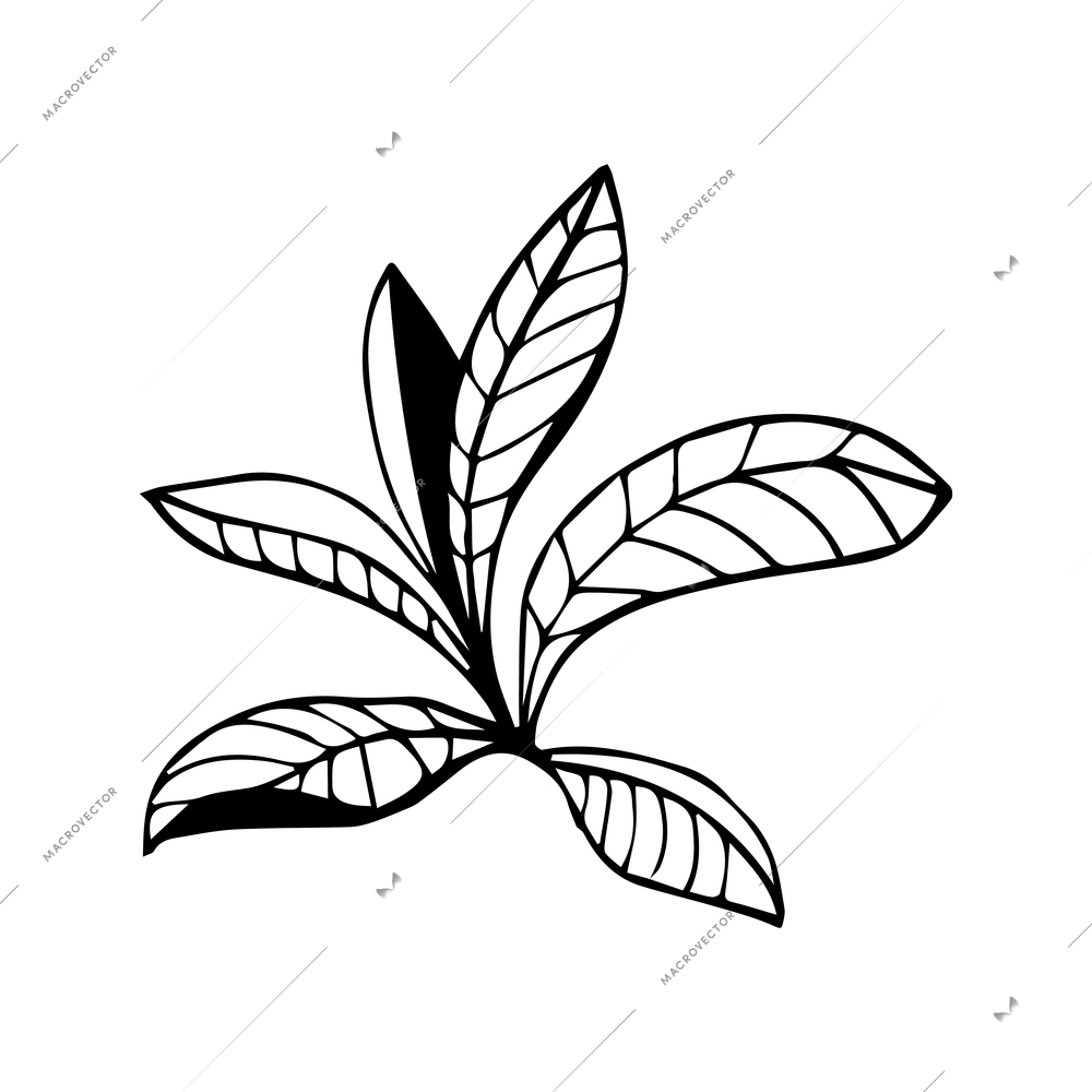 Floral elements composition with monochrome image of flower leaves vector illustration