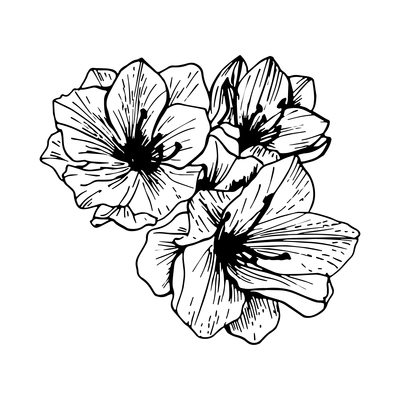 Floral elements composition with monochrome image of flowers vector illustration
