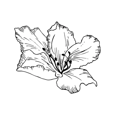 Floral elements composition with monochrome image of flower vector illustration