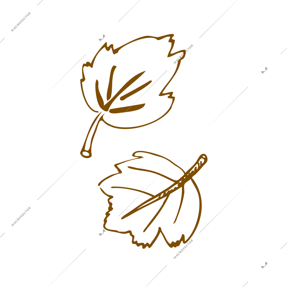 Wine composition with isolated image of hand drawn style leaves on blank background vector illustration