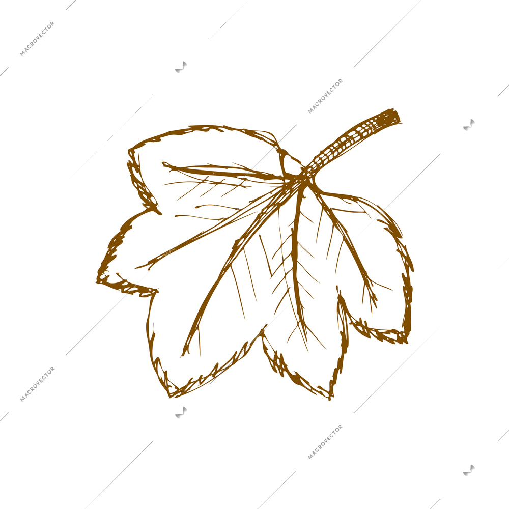 Wine composition with isolated image of hand drawn style leaf on blank background vector illustration