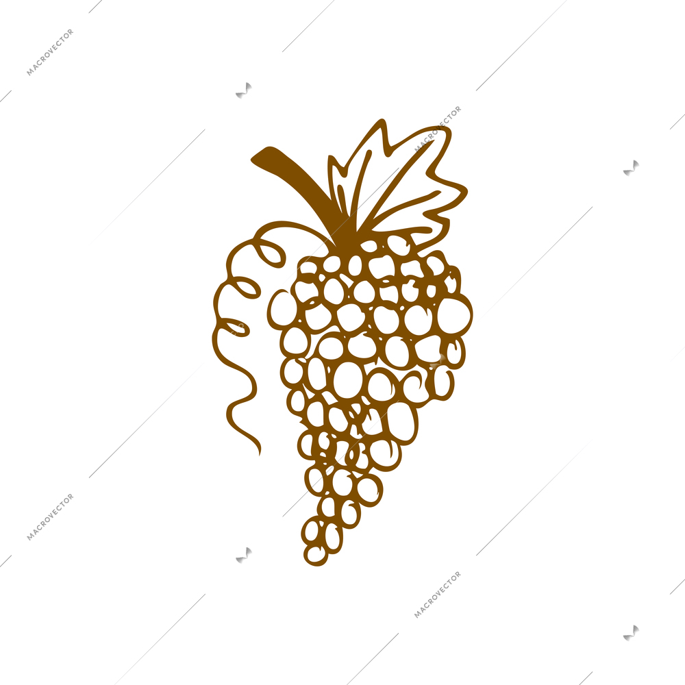 Wine composition with isolated image of hand drawn style bunch of grapes on blank background vector illustration