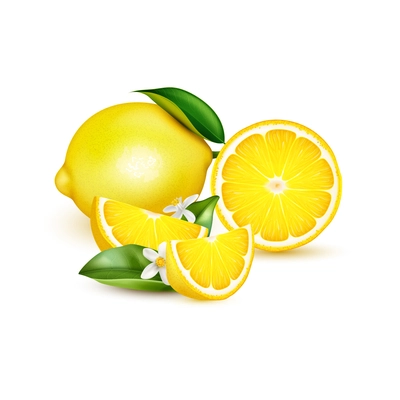 Citrus lemon fruit whole half quarter slice with leaves and blossom realistic composition on white vector illustration