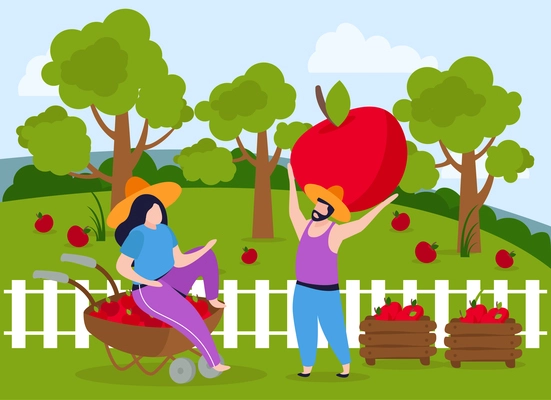 Harvesting flat composition with garden scenery and white fence with man carrying huge apple to woman vector illustration