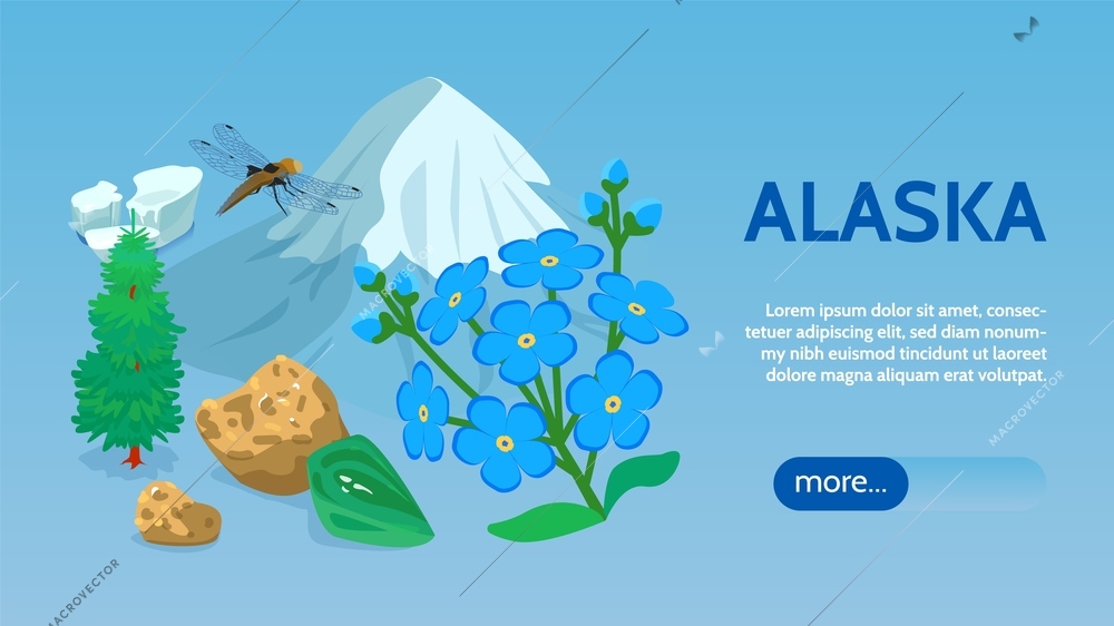 Alaska travel sightseeing tours online isometric webpage banner with sea ice mountain icecap sitka spruce vector illustration