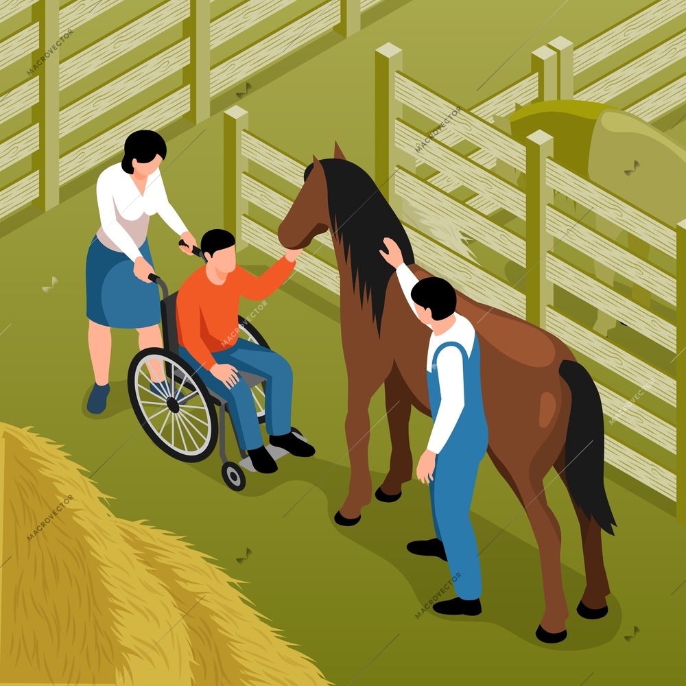 Hippotherapy isometric background with disabled man sitting in wheelchair petting horse under control of stableman vector illustration