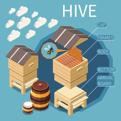 Hive construction isometric background with cap frames body bottom arrival board elements vector illustration