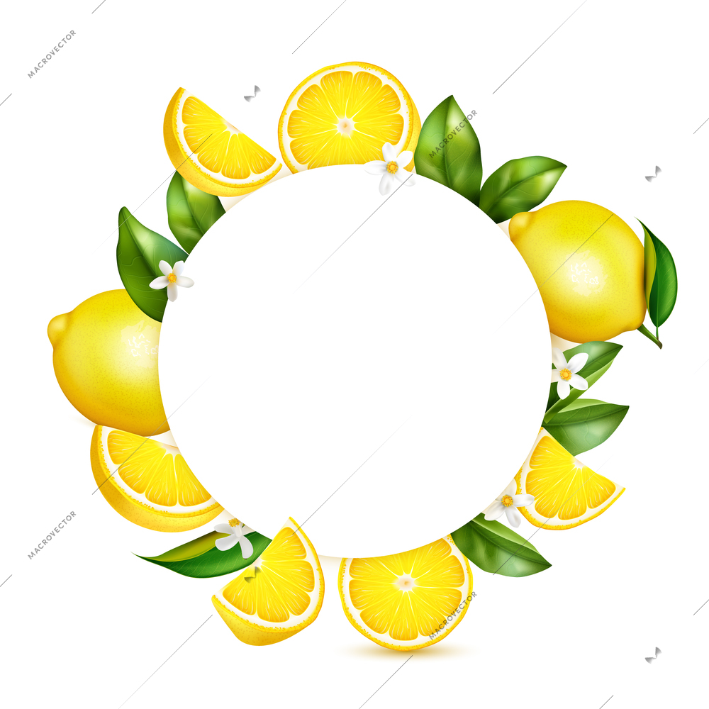 Citrus lemon fresh fruit leaves blossoms realistic circular composition round frame on white background isolated image vector illustration