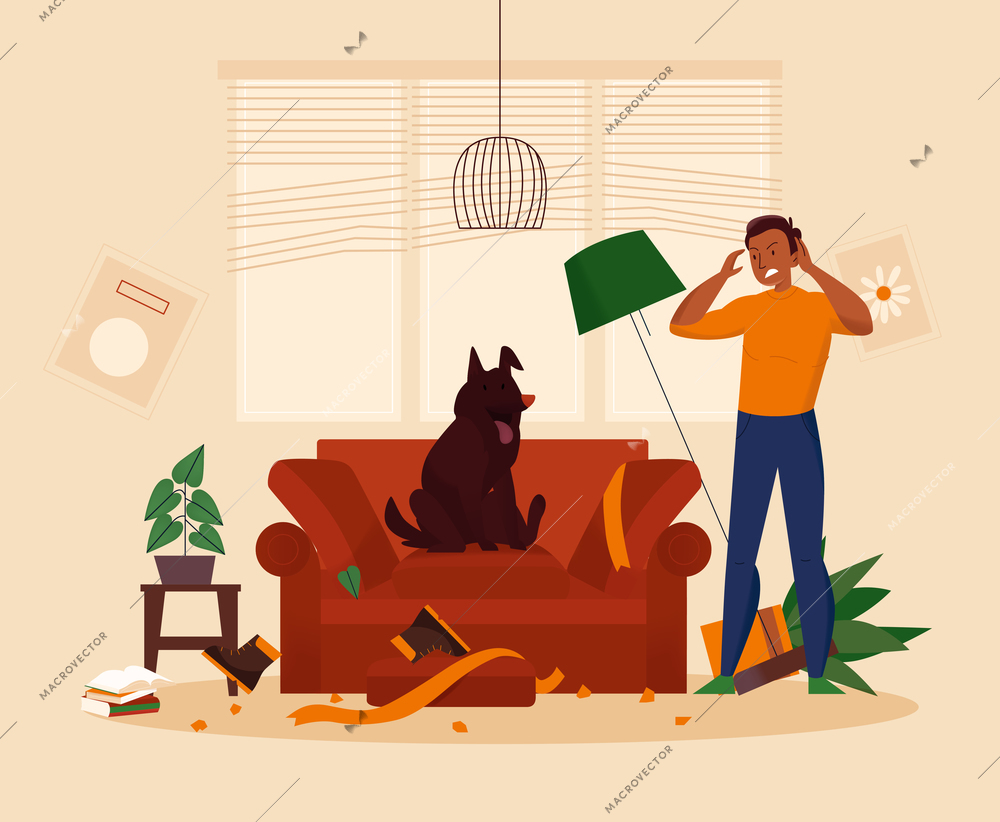 Naughty dog sitting on sofa after making mess in room and angry owner looking at it flat vector illustration