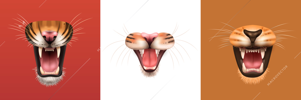 Realistic design concept with open mouth of angry roaring cat family animals isolated vector illustration