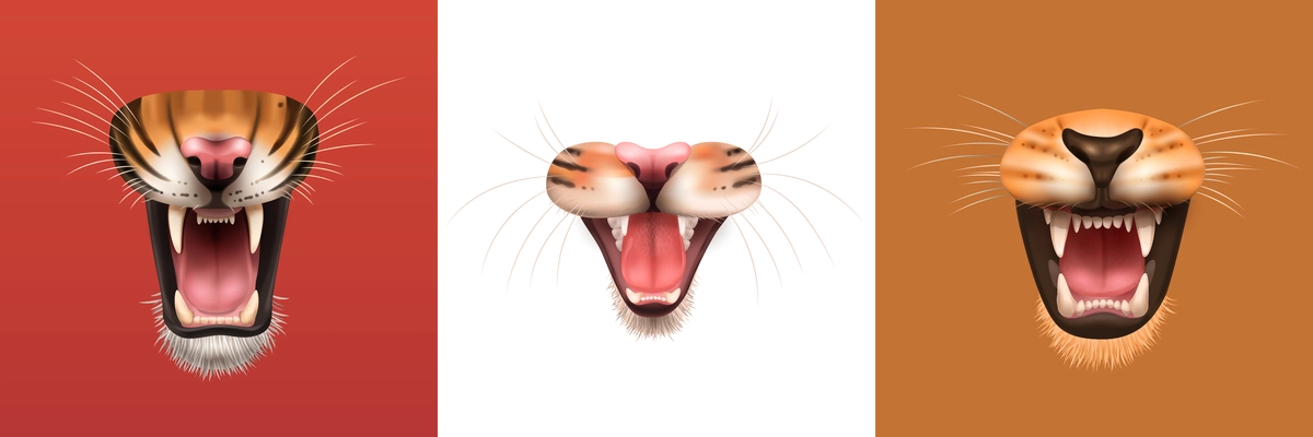 Realistic design concept with open mouth of angry roaring cat family animals isolated vector illustration