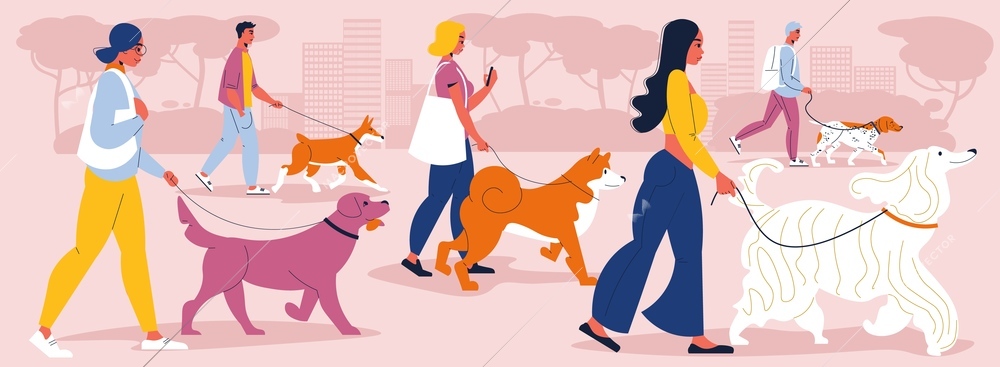 People walking their dogs of different breeds on leash in city flat vector illustration