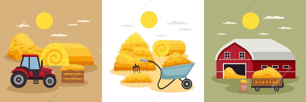 Bales hay design concept with set of square compositions with haystacks and field engine with barn vector illustration