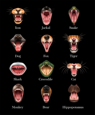 Open animal mouth realistic set with lion dog shark monkery bear fox tiger cat snake and others isolated on black background vector illustration