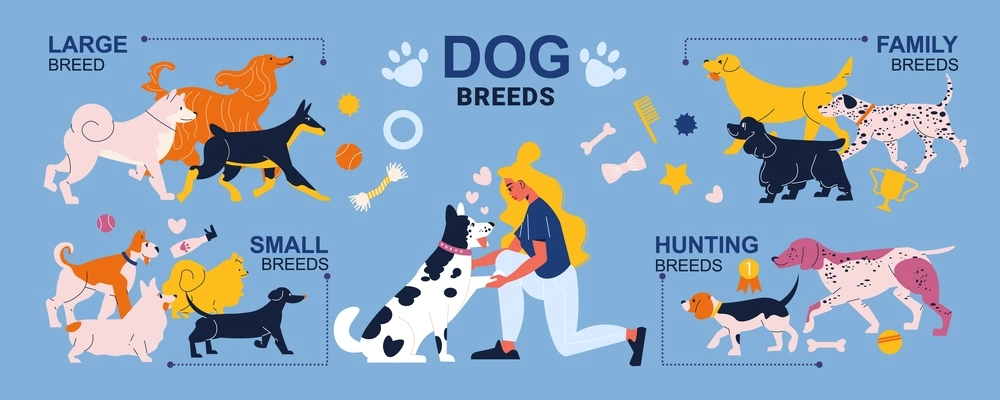 Flat infographics with various large small family and hunting dog breeds and female character vector illustration