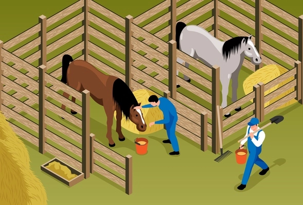 Horse stable isometric background with horses in stall and workers in uniform  caring and nursing for animals vector illustration