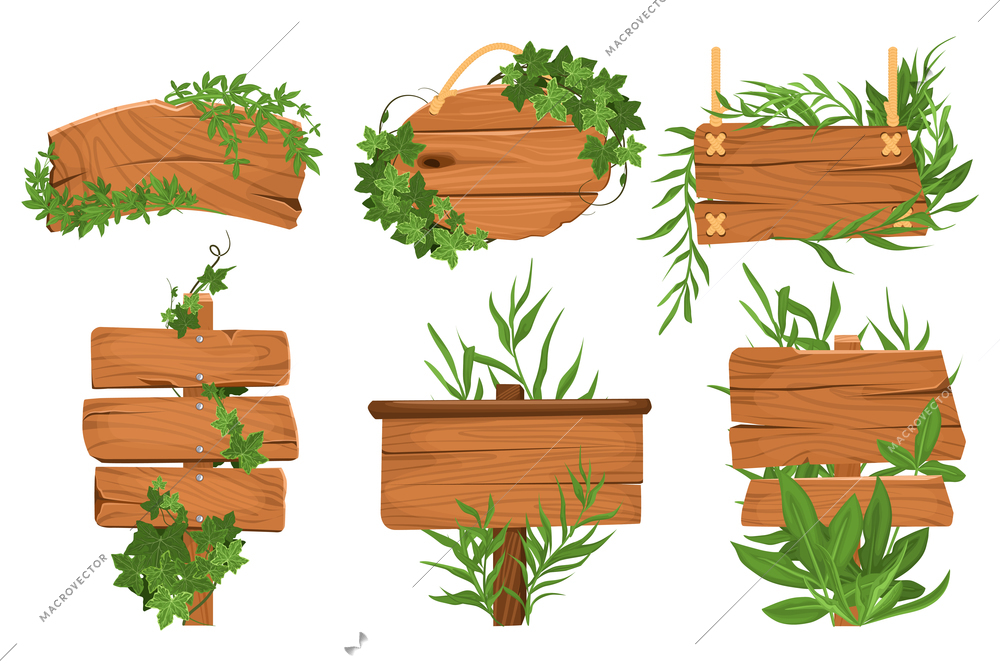 Wooden sign plant set with wooden sign boards with text and arrows with green ripe plants vector illustration