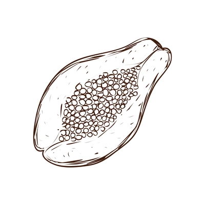 Hand drawn half of papaya fruit vector illustration