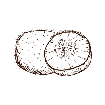 Hand drawn sketch whole and half kiwi vector illustration