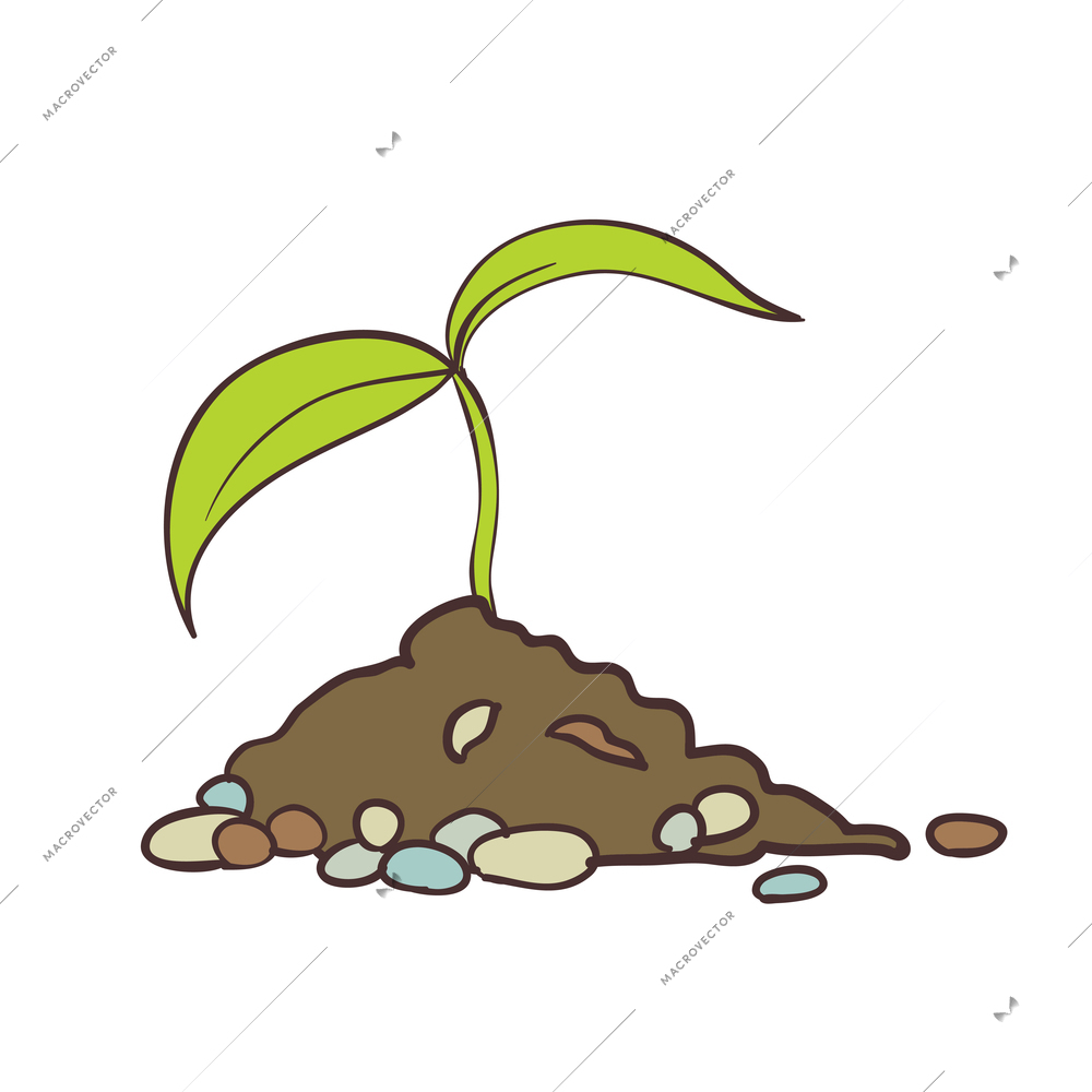 Growing small seedling of green plant in soil hand drawn vector illustration