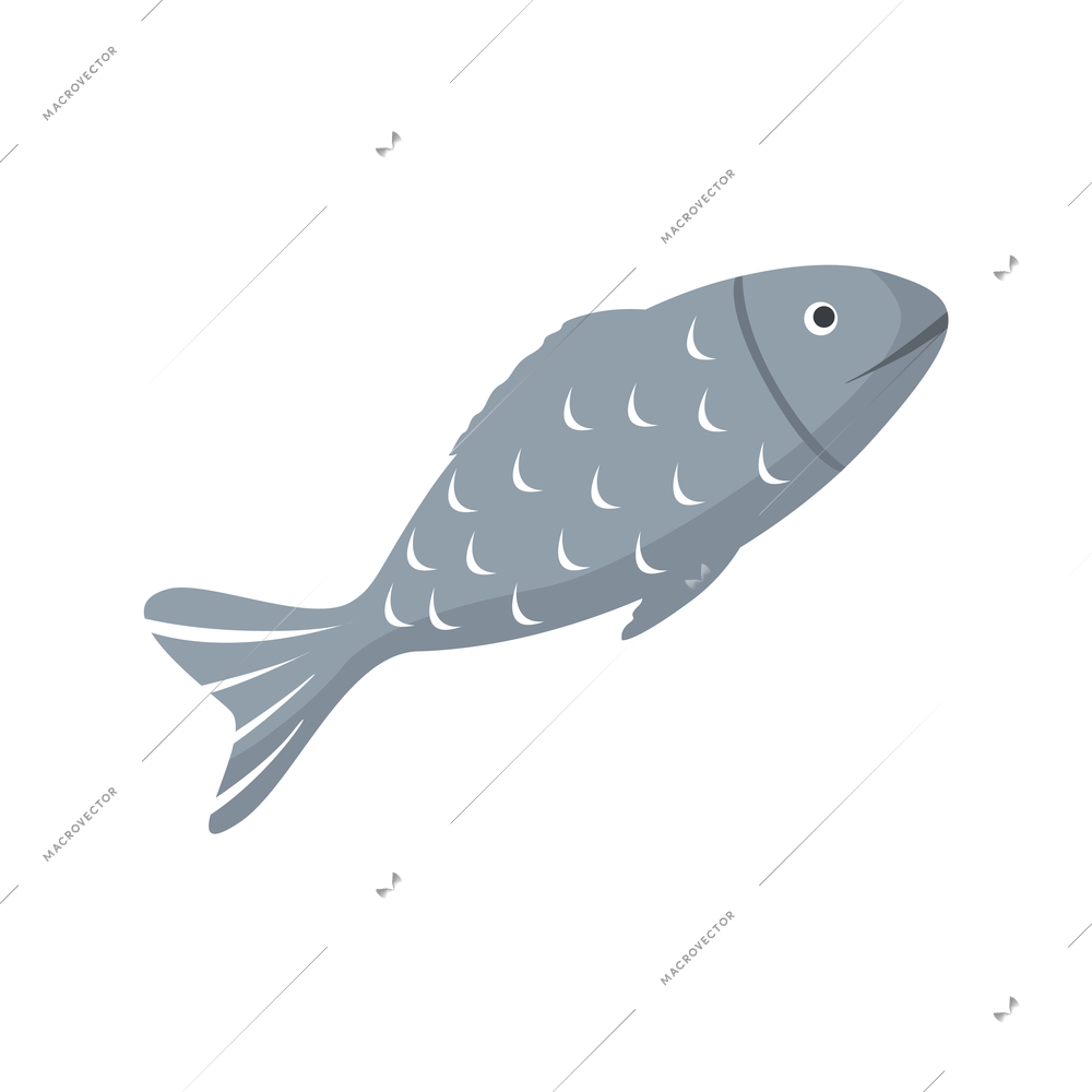 Flat icon with grey fish on white background vector illustration