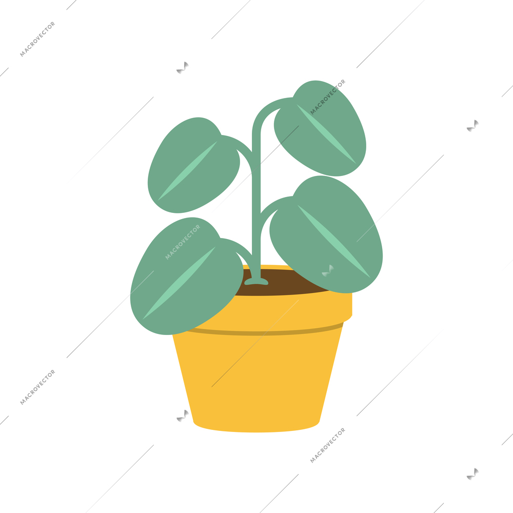 Green house plant in yellow pot flat icon vector illustration