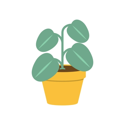 Green house plant in yellow pot flat icon vector illustration