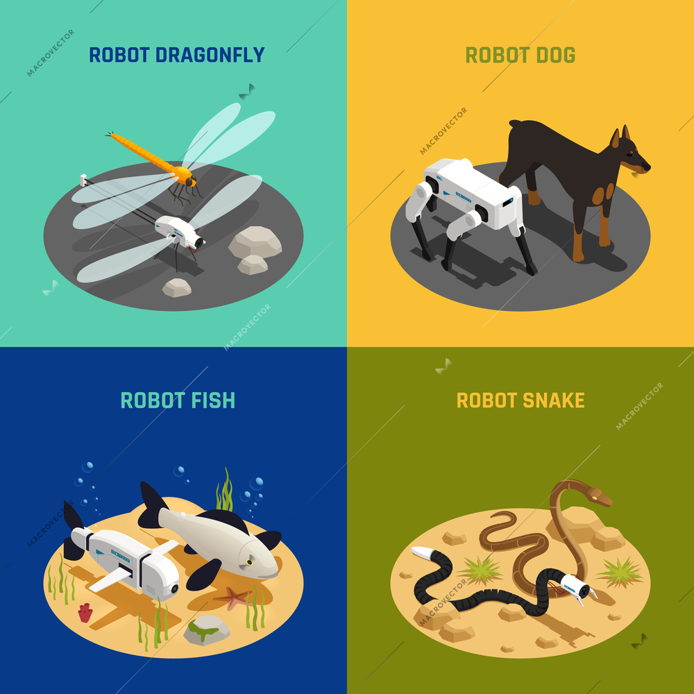 Bio robots concept 4 isometric background circular compositions set with snakes fish dragonflies dogs isolated vector illustration