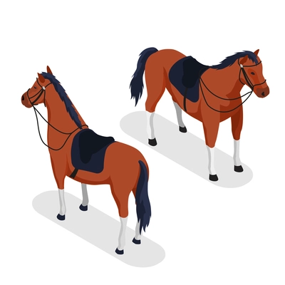 Sport horse concept with grooming and equipment symbols isometric isolated vector illustration