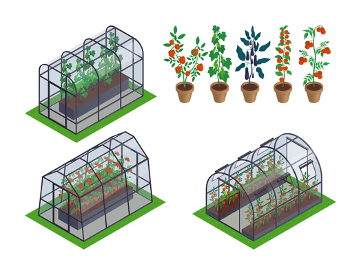 Isometric greenhouse vegetables icon set different types of greenhouses with different microclimates inside specifically for plants vector illustration