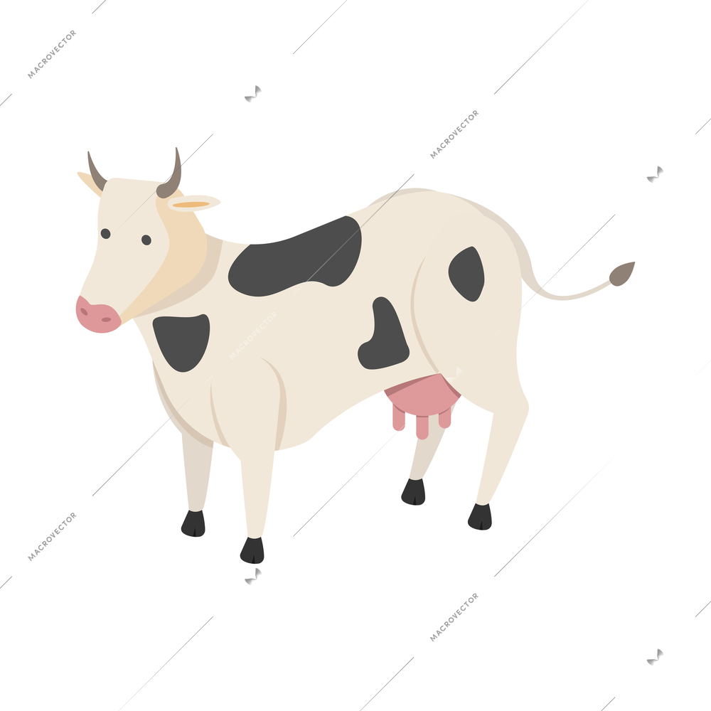 Countryside isometric composition with isolated image of cow on blank background vector illustration