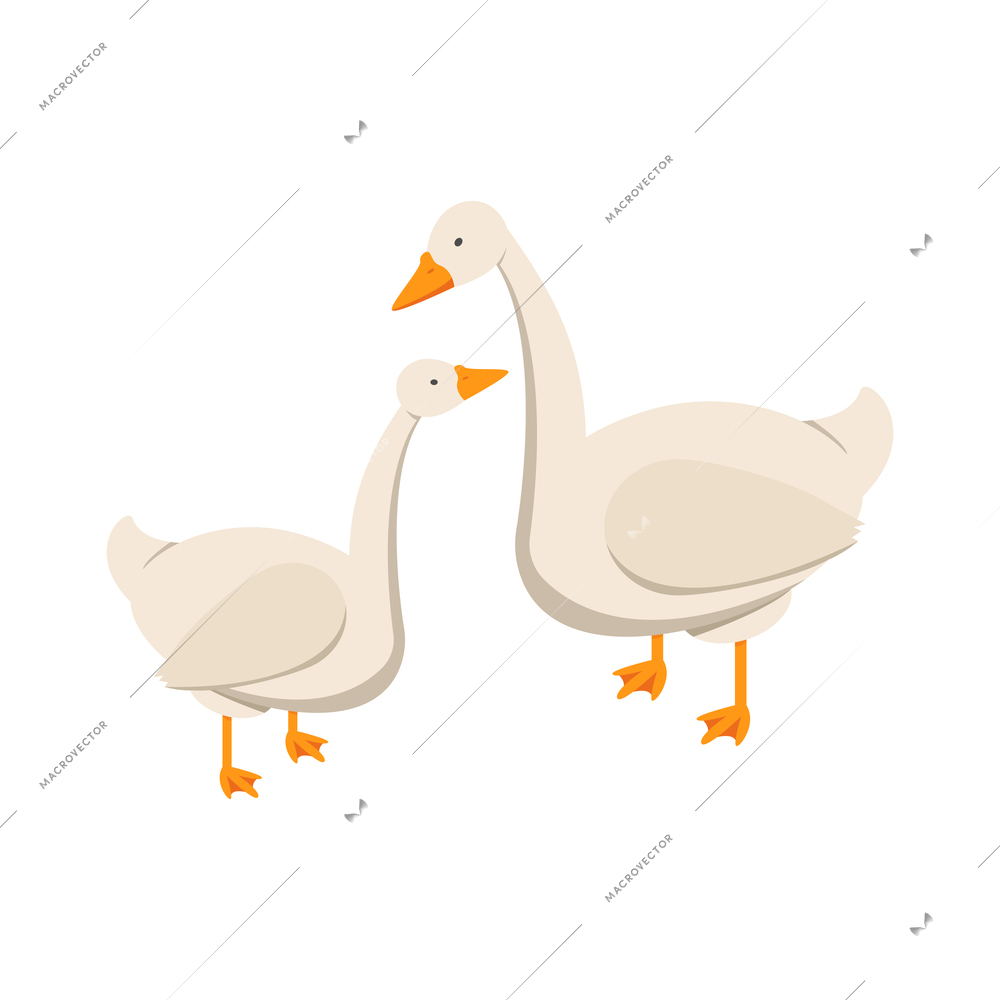 Countryside isometric composition with isolated images of geese on blank background vector illustration