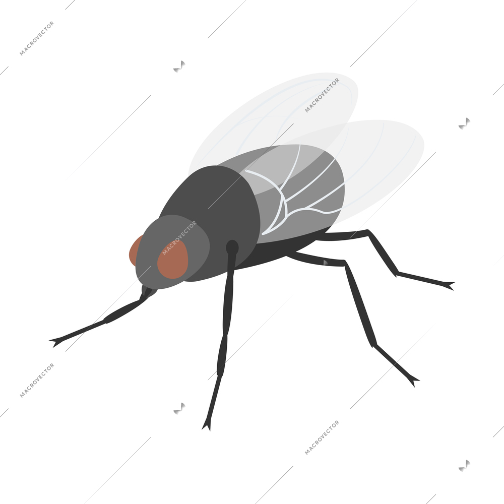 Mosquito protective composition with isolated image of insect on blank background vector illustration