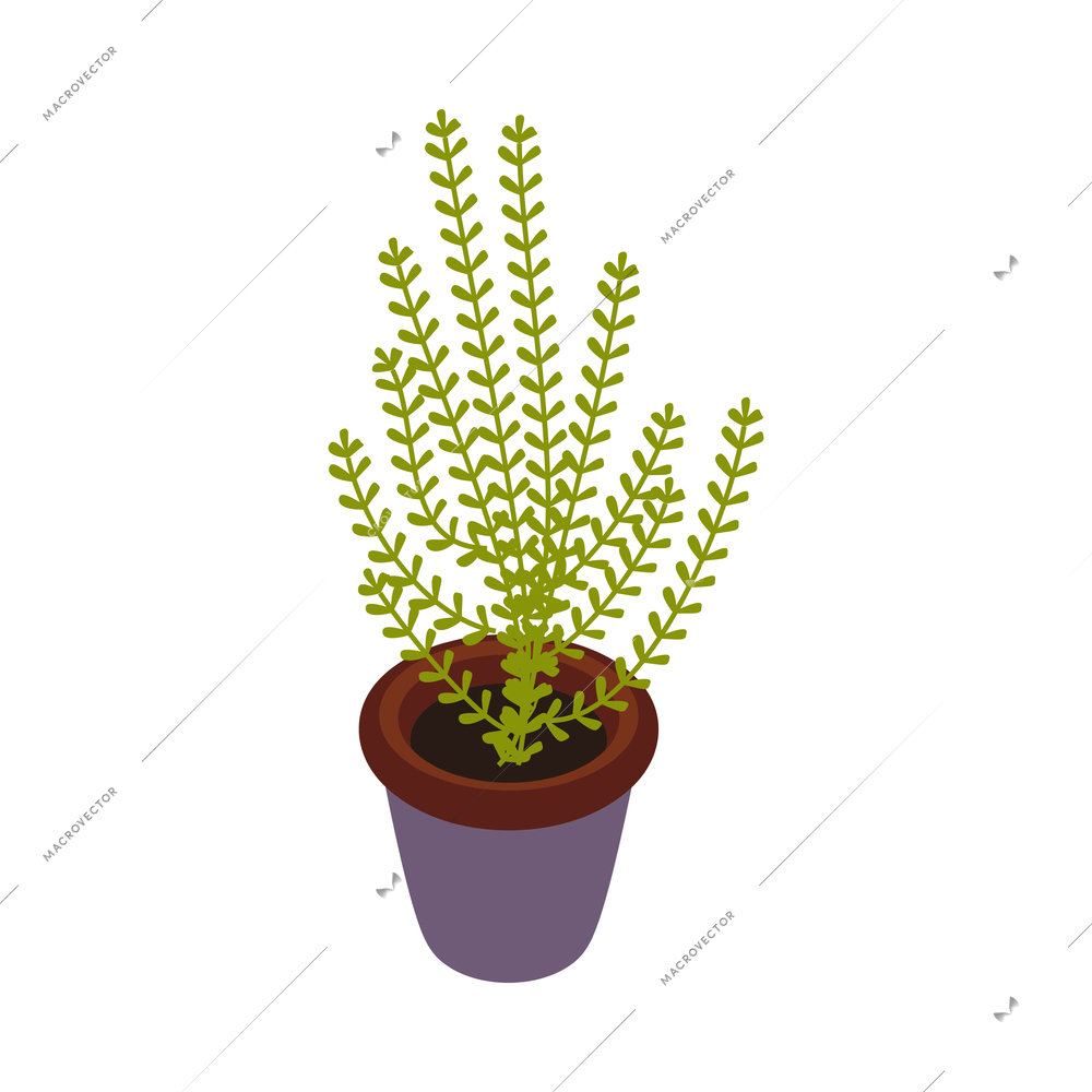 Restaurant and cafeteria interior isometric composition with isolated image of plant in pot vector illustration