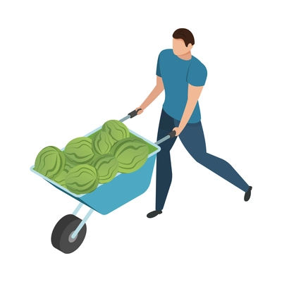 Bazaar isometric composition with isolated human character carrying barrow with cabbage vector illustration