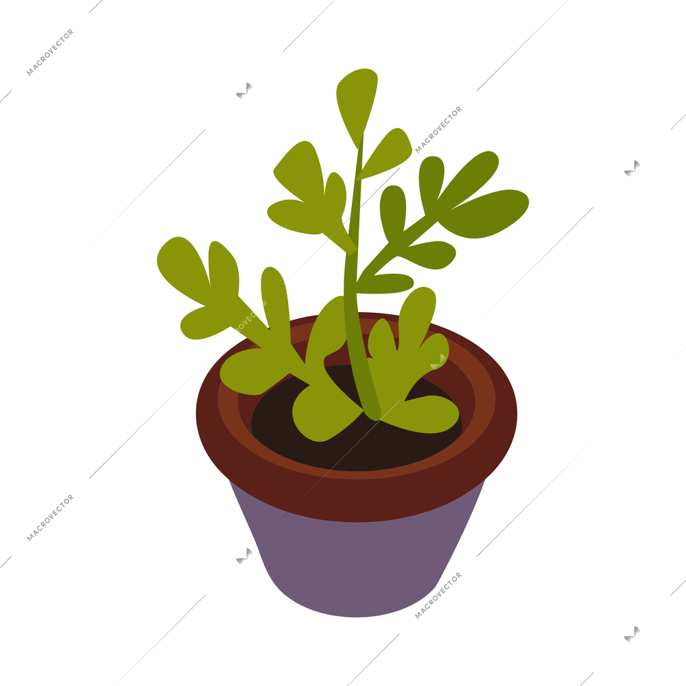 Restaurant and cafeteria interior isometric composition with isolated image of plant in pot vector illustration